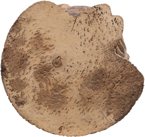 AAA1196-8