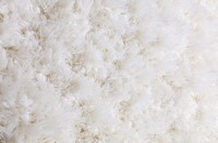 Ligne Pure - Adore Rug Eggshell 240x170-2
