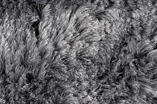 Ligne Pure - Adore Rug 400x300-3