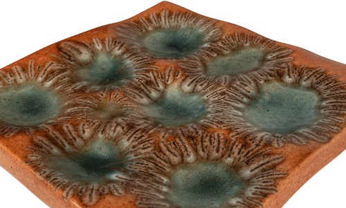 ANEMONE-OR_05