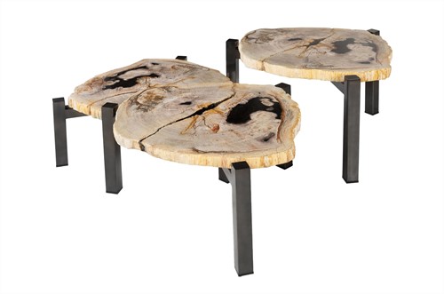 Petrified Wood Set of 3 Tables-2