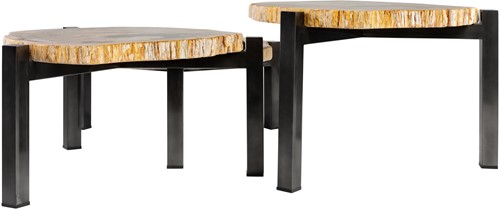 Petrified Wood Set of 3 Tables-3