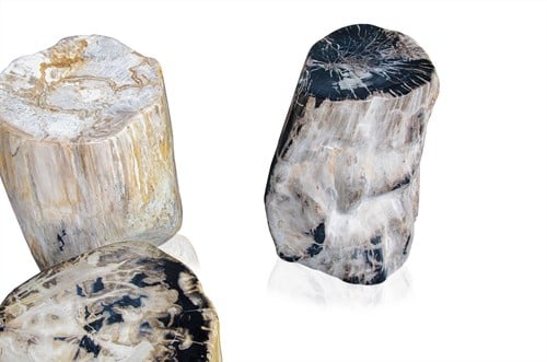 Petrified Wood Table/Stool FP 60-115KG (Price per KG)-2