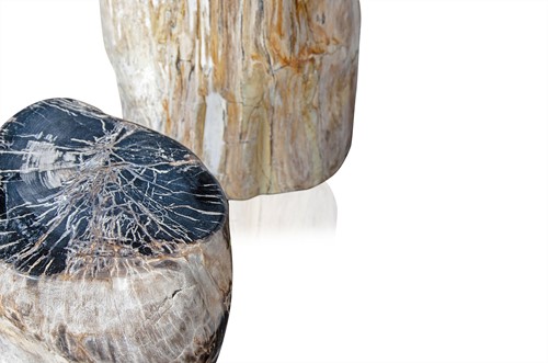 Petrified Wood Table/Stool FP 60-115KG (Price per KG)-3