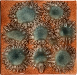 Anemone Tray/Wall Relief
