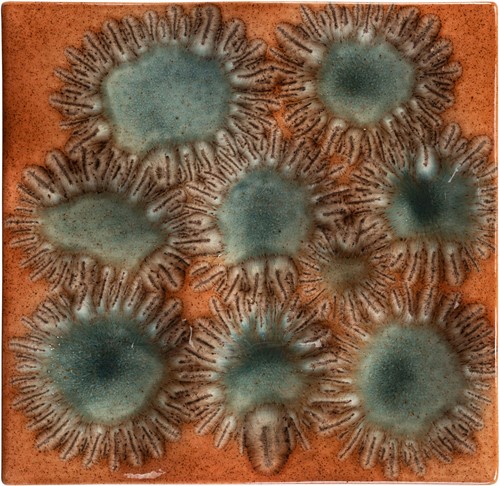 Anemone Tray/Wall Relief