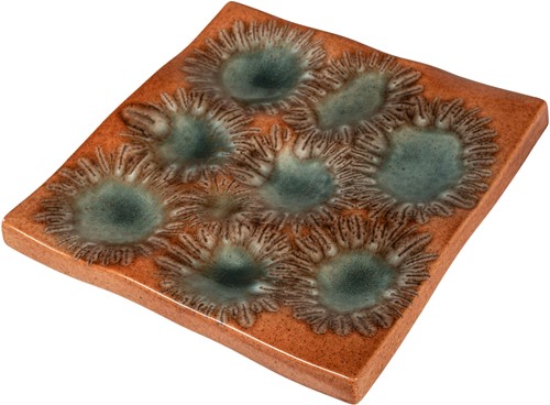 Anemone Tray/Wall Relief-2