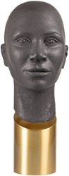 Conca Statue Brown and Brushed Brass Base *