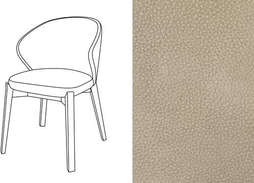 Elicia CB Dining Chair Touch-16