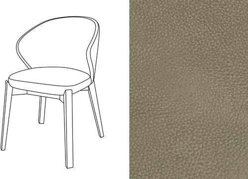 Elicia CB Dining Chair Touch-17