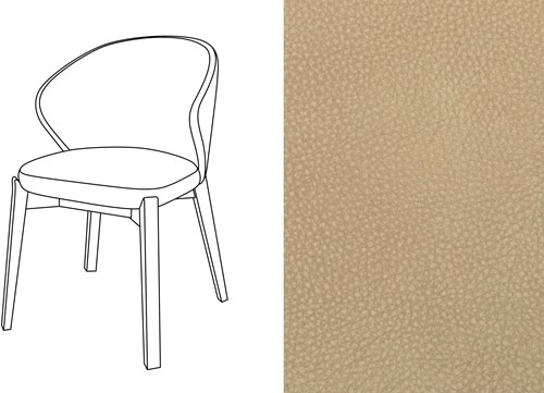 Elicia CB Dining Chair Touch-19