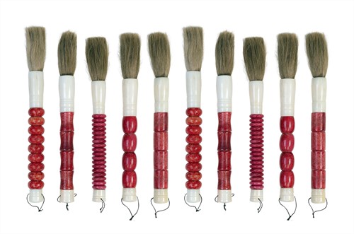 Brush Large Set of 10 Raspberry *