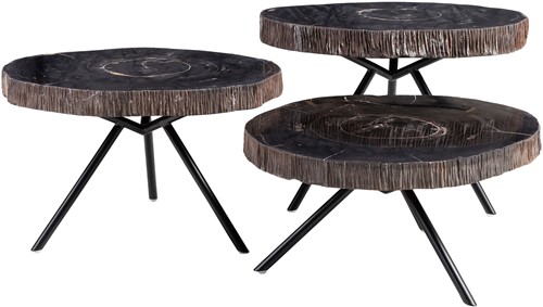 Petrified Wood Set of 3 Tables