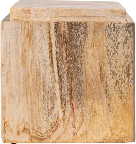 Petrified Wood Box L