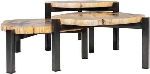 Petrified Wood Set of 3 Tables