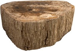 Nature Coffee Table L