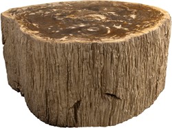 Nature Coffee Table M