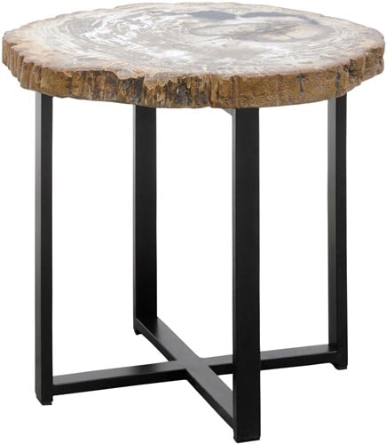 Petrified Wood Coffee Table