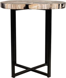 Petrified Wood Occ. Table *