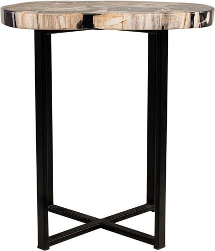 Petrified Wood Occ. Table *