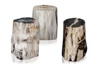 Petrified Wood Table/Stool FP 60-115KG (Price per KG)