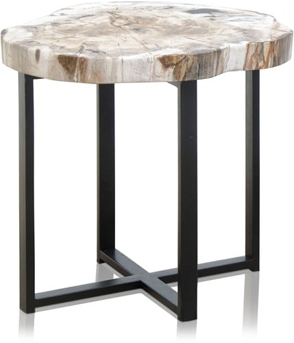 Petrified Wood Coffee Table
