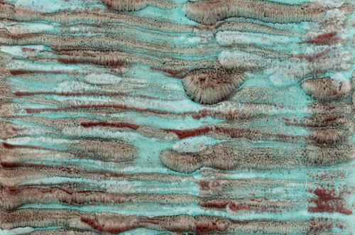 RIPPLEBASE-RB-5