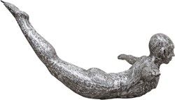 Abstract diver Swallow